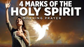 Why I Love The Holy Spirit | A Blessed Morning Prayer To Start Your Day