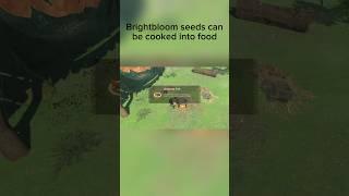 Brightbloom seeds can be cooked into food #totk