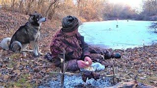 Жарю мясо, вдруг БАХ! ЗАГАР! Откуда в замёрзшей луже столько рыбы?! Рыбалка под звуки природы