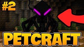 BU NASIL PET! | Minecraft PetCraft | #2