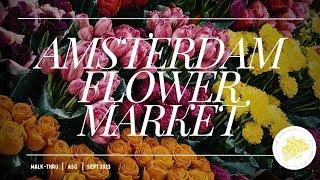 Amsterdam Stins Flowermarket Quick Walk ~ All Streets Gourmand