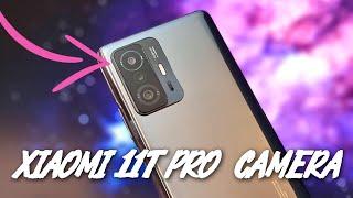 Xiaomi 11T Pro Camera Test: Sample Photos & Videos!