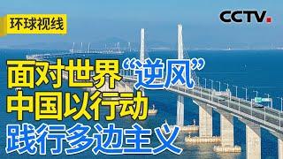 中国发展传递信心 世界关注“中国之治” 20250310 | CCTV中文《环球视线》