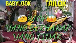 Babylook vs tailook