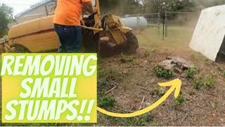 Rayco Rg50 Stump Grinder tackling small stumps