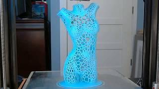 CR-10S Octolapse (timelapse) 3d print of female torso 2 wireframe sculpture