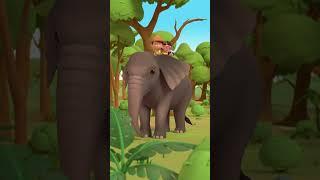 Join Leo & Friends in this Forest Dance Party!  | Leo the Wildlife Ranger | #shorts #animals #fun