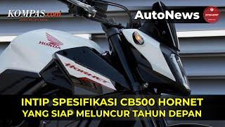 Honda CB500 Hornet Siap Meluncur Tahun Depan