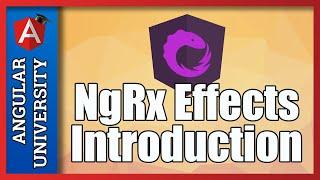  Introduction to NgRx Effects -  What is a Side Effect?