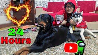 Lockdown With My Dogs || Bitto Voice || Dog can talk part 78 || Funny Dog Video || Review reloaded