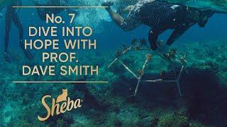 No. 7 Dive into Hope with Prof. David Smith | Coral Restoration | Sheba® Hope Grows
