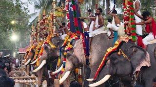 Kappiyur Pooram 2025️ കപ്പിയൂർ പൂരം 2025#kappiyoor #Kappiyur #elephant #aanapooram #pooram #aana