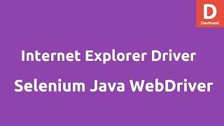 Internet Explorer WebDriver for Selenium Java