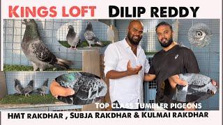 Kings Loft Dilip reddy ,top class HMT Rakdher , Kulmai Rakdher and subja rakdher