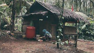 ASMR BERBURU SAYUR YANG BISA DI MASAK SETELAH HUJAN