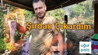 Şırdan Neyden Yapılır? Hiç Merak Ettiniz mi?