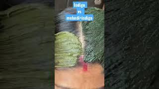 Indigo powder vs mehndi and indigo powder #youtubeshorts