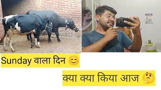 क्या क्या किया Sunday वाले दिन || कई दिन के बाद आया New Vlog  #video #trending #vlog #theamannain