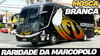 APENAS 10 UNIDADES PRODUZIDAS NO BRASIL OS RAROS MARCOPOLO G7 1350 SEMI LEITO EXPRESSO NORDESTE