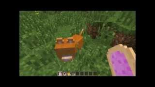 Minecraft: Nyan Cat Mod