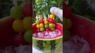 Meow~Super Huge Watermelon Sago Dessert!|ASMR Summer Drinks | Cat Cooking-TikTok #Shorts