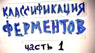 1.Классификация ферментов. ШПАРГАЛКА! Биохимия