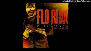 Flo Rida & Sia - Wild One (Pitched)