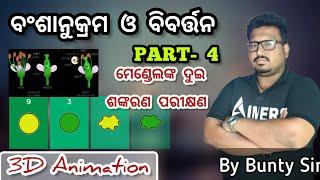 ବଂଶାନୁକ୍ରମ ଓ ବିବର୍ତ୍ତନ part -3 ||ମେଣ୍ଡେଲଙ୍କ ଦୁଇ ଶଙ୍କରଣ ପରୀକ୍ଷଣ||odia medium class 10 life science