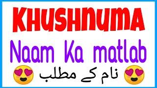 Khushnuma ka urdu meaning | Khushnuma naam ke urdu mayne | Khushnuma name meaning