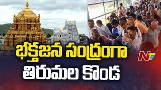 భక్తజన సంద్రంగా తిరుమల కొండ..Huge Devotees Rush At Tirumala Temple | NTV