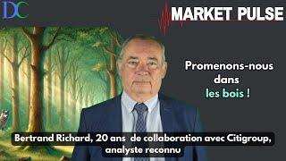 Promenons nous dans les bois ! | Market Pulse