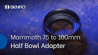 Benro BA7510 Accessory | Mammoth 75mm to 100mm Half Bowl Adapter