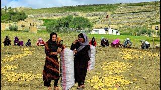 lifestyles in Afghanistan Villages | Contribution of Afghan girls in daily work