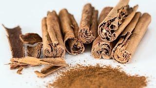 How to Start Spice Export Business in India