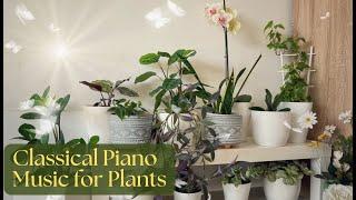 Classical Music for Plants Growth; Relaxing Piano for Plants & Plant Lovers