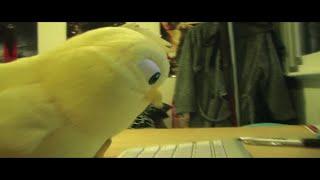 Damper - The Story of a Stuffed Chicken Toy - Official Trailer #2