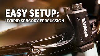 Evans Hybrid Sensory Percussion: Easy Setup and Sound Design