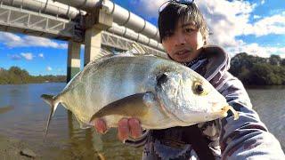 I'm SHOCKED! Georges River Fishing