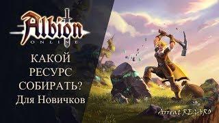 Albion online : Какой ресурс собирать ? Для новичков