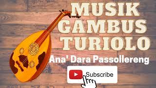 MUSIK TRADISIONAL GAMBUS BUGIS TURIOLO | ANA' DARA PASSOLLERENG |  Pakasannang