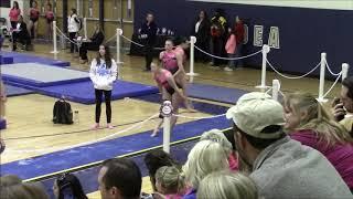 Anna Clifton Gymnastics