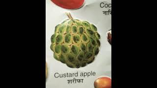 fruits and their names in Hindi & English