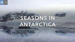 Seasons in Antarctica | What to Expect | Lindblad Expeditions