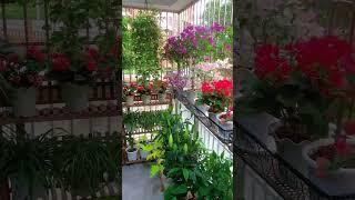 Gardening ideas for home #gardeningideasforhome #gardening #garden #wintergarden #asmr