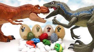 30 Dinosaur Eggs! Jurassic World, Transformer Eggs, 4D Puzzle Dinosaur 공룡 알 부화