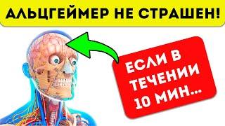 Сделай так и деменция не придет! Как легко улучшить память, ясность ума и работу мозга в целом?