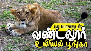 வண்டலூர் உயிரியல் பூங்கா 2022 | Vandalur Zoo | Arignar Anna Zoological Park | Chennai ZOO