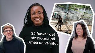 Så funkar det att plugga på Umeå universitet