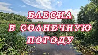 БЛЕСНА В Солнечную Погоду ЛОВИТ Когда ДРУГИЕ ПРИМАНКИ МОЛЧАТ! Достойные Щуки в бесклёвье!