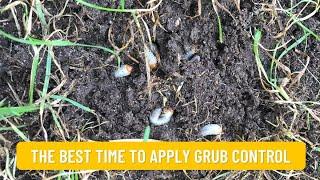 The Best Time to Apply Grub Control Products